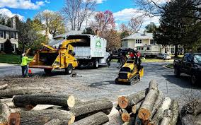  , USA Tree Services Pros